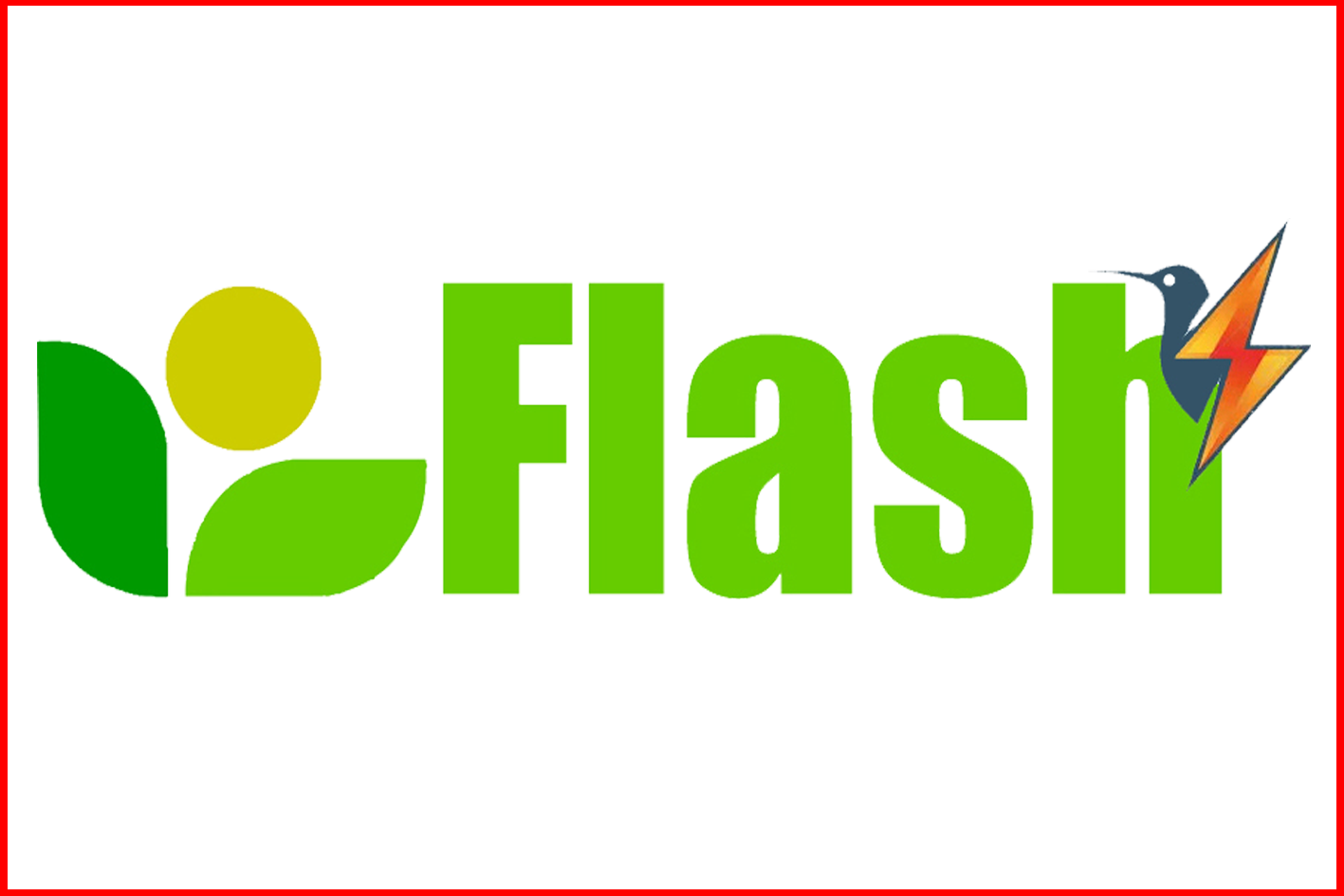 Flash for WP